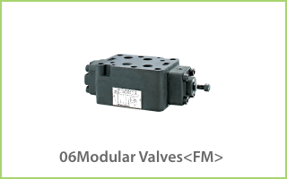 06Modular Valves<FM>